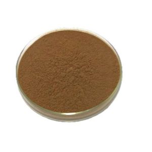 Alisma Extract water-soluble edible herbal raw material multiple specifications ready stock free shipping samples available upon request