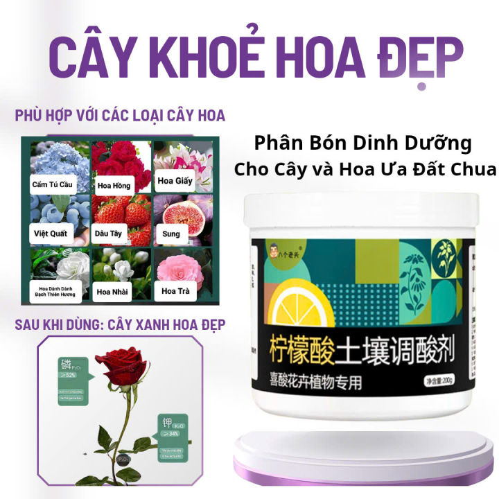 java core là gì? phân biệt java core với java... Phân Bón Hoa Giấy, Hoa Trà, Hoa Hồng, Hoa Nhài, Cẩm Tú Cầu - Kích Nụ ...