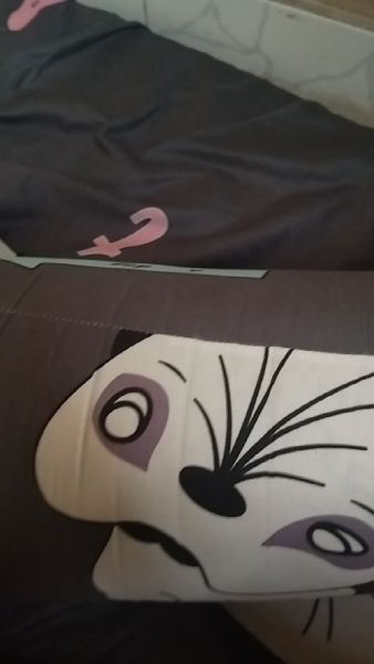 Buyer review video 2