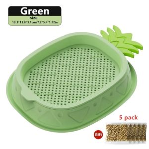 Cat Grass Seeds Kit Hydroponic Soilless Organic Indoor Pet Treat Tray Easy Grow