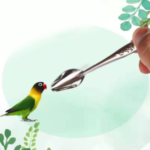 Bird Feeder Spoon Stainless Steel Water Feeding Spoon for Milk & Medicines Metal Small Feed Scoop for Parrot Canary
