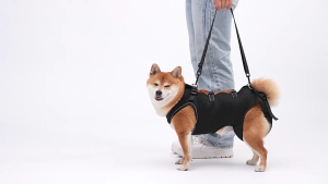 Reflective Dog Harness Lift Slings For Disabled Pet with Adjustable Chest Support and Padding Disabled Dog Support Device