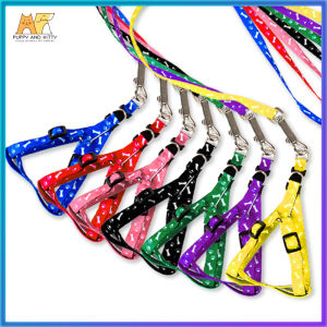 Adjustable Nylon Dog Leash: A Versatile & Durable Choice