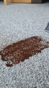 Giselle 1700W Hot Water Steam Spot Cleaner with 5m Long Power Cord | Wet & Dry Powerful Floor Carpet Sofa Fabric Cleaner