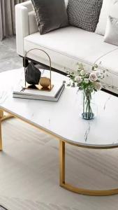 Ekoping โต๊ะกลางโซฟา 100/120 ซม. ลายหินอ่อนสไตล์โมเดิร์น เหมาะสำหรับรับแขก นั่งจิบชา