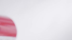 Metal Food Grinder Attachments for all KitchenAid chef and Cuisinart Stand Mixers SM-50 Series. Meat Grinders Sausage Stuff