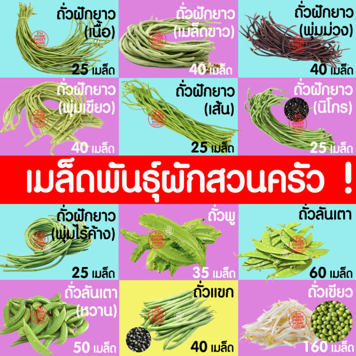 เมล็ดพันธุ์ผักตระกูลถั่ว ถั่วฝักยาว ถั่วพู มันแกว