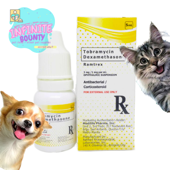 Tobramycin for dogs sales ears