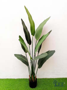 5 เมตร ต้นเบิร์ด สูง พร้อมกระถางพลาสติก และต้นไม้ปลอมตกแต่งบ้าน Leeartplants