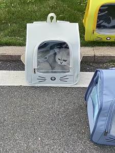 Pet Carrier Backpack Foldable Design Transparent Design Portable Design ventilated cat and dog travel bag portable pet carrier for walking vet visits and short trips Pet Care