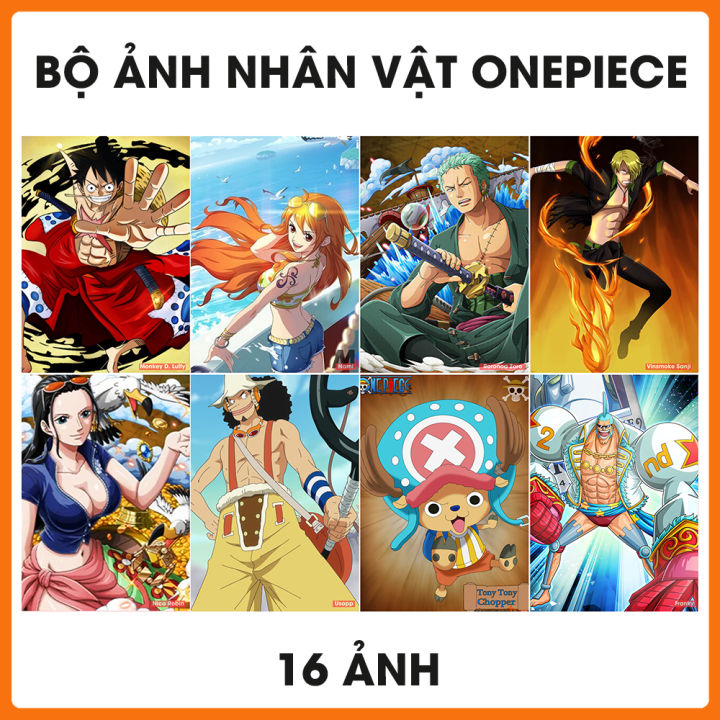 100+ Hình nền One Piece đẹp nhất cho điện thoại, máy tính