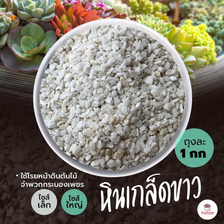 หินเกล็ดขาว 1 กก. สำหรับแคคตัส กระบองเพชร และไม้อวบน้ำ