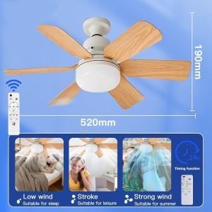 Arrow Ceiling Fan Light With Remote Control 30W/40W 6 Blades 2 in 1 Ceiling Fan With Light