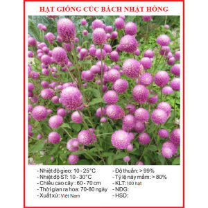 Hạt giống hoa cúc bách nhật-gói 100 hạt-màu tự chọn