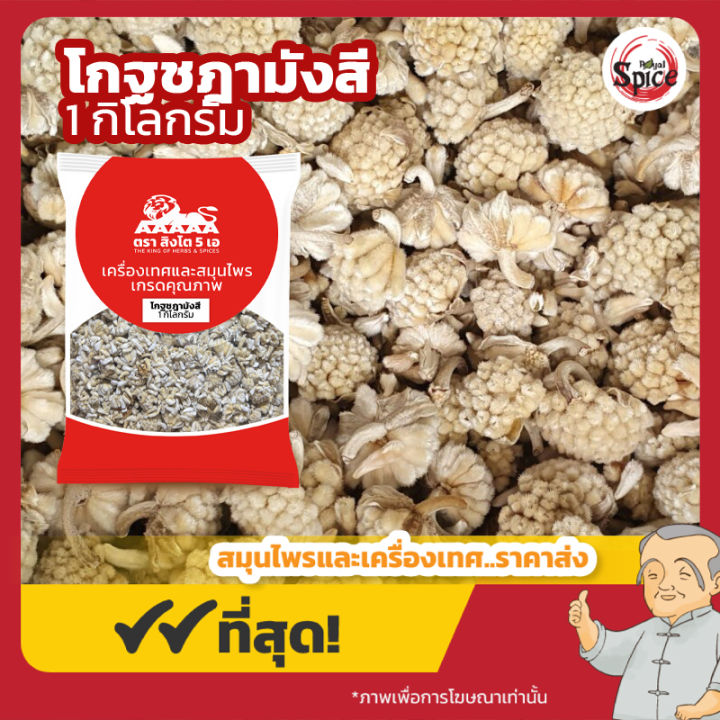 โกฐชฎามังสี (เม่งฮวย) 蒙花 ขนาด 1 กิโลกรัม