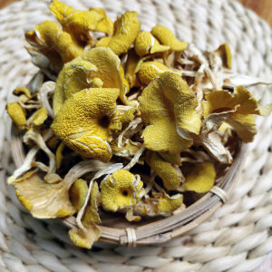 Natural Wild Golden Chanterelle Dried Mushroom Soup Ingredient Northeast Specialty