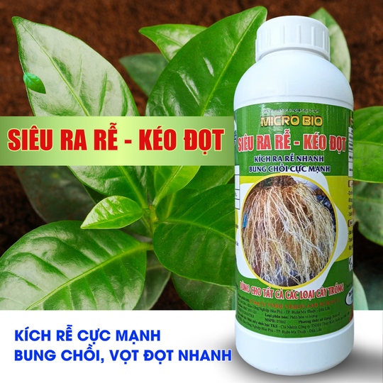 Si%C3%AAu%20Ra%20R%E1%BB%85%20K%C3%A9o%20%C4%90%E1%BB%8Dt%201%20L%C3%ADt%20Ph%C3%A2n%20B%C3%B3n%20Vi%20L%C6%B0%E1%BB%A3ng%20K%C3%ADch%20R%E1%BB%85%20C%E1%BB%B1c%20M%E1%BA%A1nh%20Bung%20Ch%E1%BB%93i%20V%E1%BB%8Dt%20Ng%E1%BB%8Dn%20-%20Image%204
