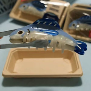 Cute Sardine Clip Womens Acrylic Hair Clip