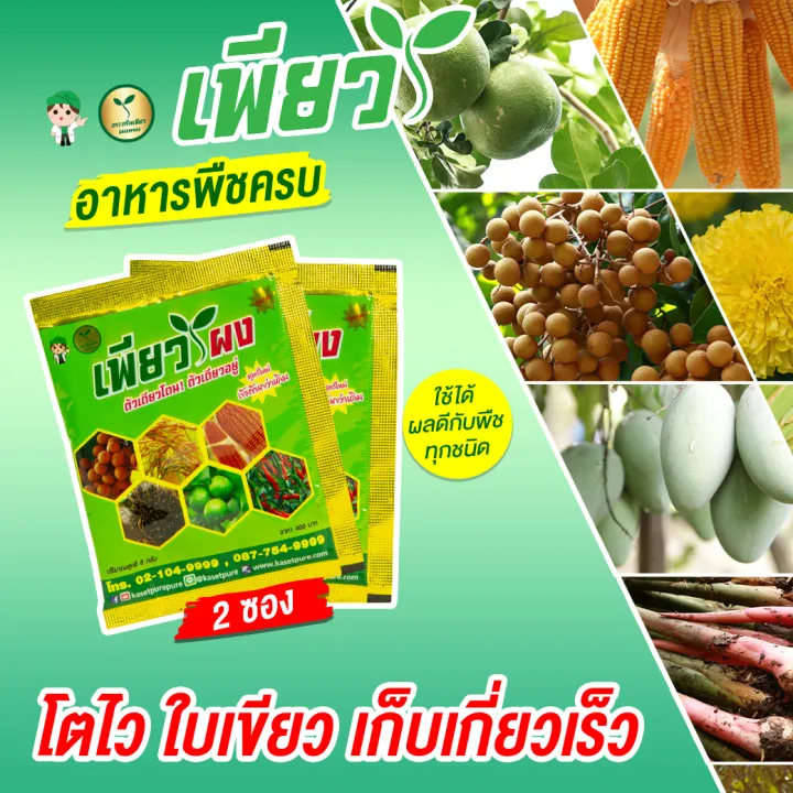 เกษตรเพียว เพียวผง วิตามิน อะมิโน เร่งโต