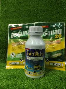 ด้วงหมัดผัก ด้วงหมัดกระโดด แมลงปีกแข็ง ตัวกระเจ๊า ด้วง หมัดผัก คะน้า กวางตุ้ง กะหล่ำ กำจัดเรียบ ด้วงหมัดแถบเหลือง ตายชัวร์ 💥