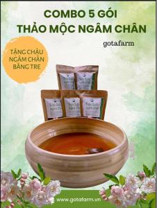 Combo 5 gói Thảo dược ngâm chân Gotafarm - Tặng kèm chậu tre ngâm chân gội đầu làm nail