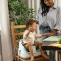 Ingenuity Baby Base 2-In-1 Seat Green. 