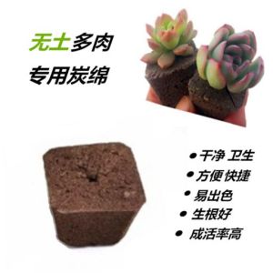 (1 set = 8pcs) 无土多肉专用海绵 Pafcal / Sponge specially for succulents
