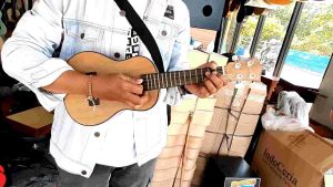 Ukulele Gitar Kentrung Sopran Senar 3 Senar 4 Murah Bonus Pic