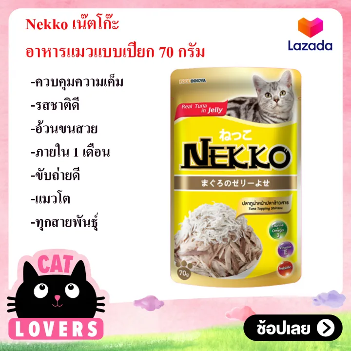 10 อันดับอาหารแมวแบบเปียก ยี่ห้อไหนดี? อัปเดตปี 2025 เพื่อสุขภาพที่ดีของน้องเหมียว