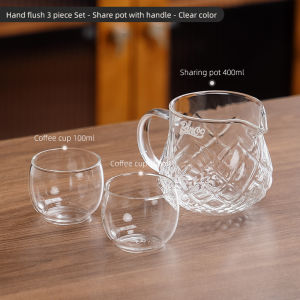 BINCOO Hand Pour Coffee Pot Sharing Kettle Tea Pot Coffee Dripper Set Cold Brew Pot Glass Tea Cup 400ML