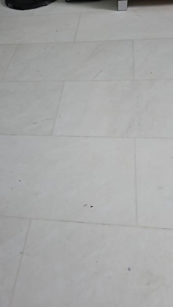 Buyer review video 2
