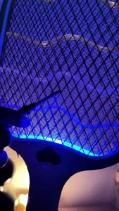 1800mAh UV Mosquito Zapper Automatic & Manual 3800V Electric Mosquito Swatter Portable Long-Lasting Battery