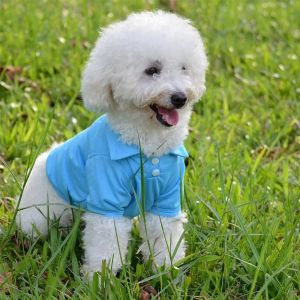 OUTOPEN Màu đơn sắc Áo Polo cho chó Thoáng khí Thoải mái Áo thun hình chó Đồ dùng cho thú cưng Mềm mại Quần áo hai chân cho thú cưng Trang phục thường ngày