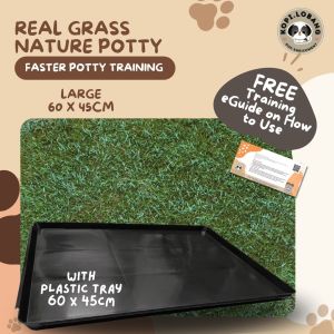✅[SG] 6 MONTHS (12  DELIVERIES)  REAL GRASS NATURE POTTY ★ The 1st Pet Potty Real Grass in Singapore