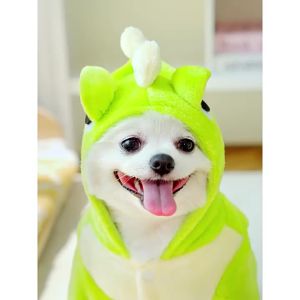 New Little Dinosaur Transforms into Little Dog Clothes Autumn Winter Flannel Warm Teddy Bichon CatClothes