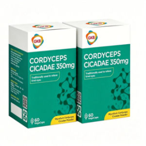 GKB Cordyceps Cicadae 350mg (60S )虫草 金蝉花 For Vision 护眼 干眼症