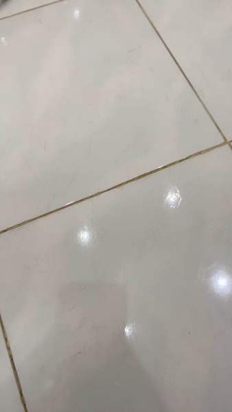 Buyer review video 2