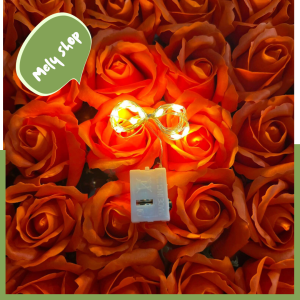 Dây Đèn Led Trang Trí Đom Đóm Fairylight_Đã Bao Gồm Pin_ Loại Dài 1m 2m