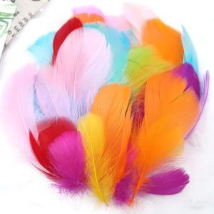 GOFIDIN 50PCS Đầy màu sắc Lông ngỗng tự nhiên Nhẹ Lông vũ tự nhiên Đồ trang trí lông vũ nhiều màu Kết cấu mềm mại Phụ kiện lông vũ tự làm Trang trí sổ lưu niệm