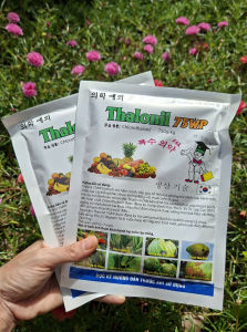 [VTNN TIEN KHOA] Trừ các bệnh do nấm và vi khuẩn gây hại trên cây trồng THALONIL 75WP 100g