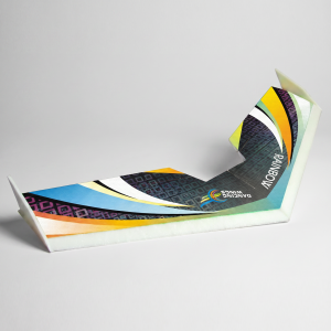 Rainbow Fly Wing EPP 800mm Tail-Push RC Plane Kit Durable Beginner-Friendly Indoor/Outdoor Aeromodelling