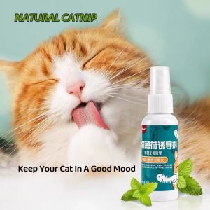 Pet Wonderland Cat Dog Catnip Spray Cat Toy Attraction Inducer Mint Scent Kitten Interactive Spray 50ml