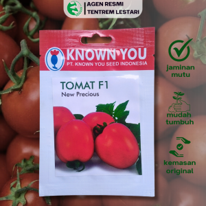 Benih Tomat F1 NEW PRECIOUS 80 BIJI Known You Seed