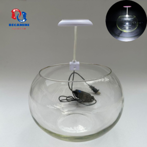 Bể cá mini tròn COMBO đầy đủ tặng kèm phụ kiện trang trí