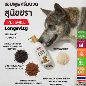 PETSMILE แชมพูผสมครีมนวดสำหรับสุนัขชรา สูตรพิเศษผสมข้าวสามสีสามสายพันธุ์ 280ml.