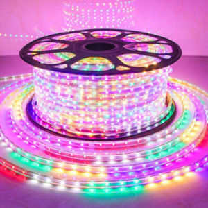 LAMPU STRIP AC 220V 10M RGB MERAH PUTIH SELANG ROPE LED LIGHT HIAS POHON AGUSTUS PROMO MERDEKA