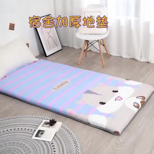 ที่นอนเบาะรองนอนสำหรับใช้งานในบ้านหอพักนักเรียนเตียงเด็ก