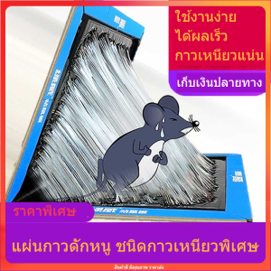 กาวดักหนู กับดักหนู กาวดักหนูเหนียว ติดทน พร้อมส่งจากไทย