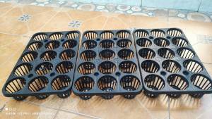 3 นิ้ว แพ็คละ 3 ถาด 1 สั่ง เพียง 1 บาท พร้อมส่งออนไลน์