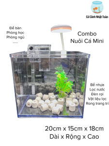 Combo Bể Cá Mini Mica Gồm (Bể Lọc Đèn Phụ Kiện Trang Trí) ( D20cm x R15cm x C18cm)
